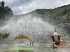-西双版纳原始森林公园