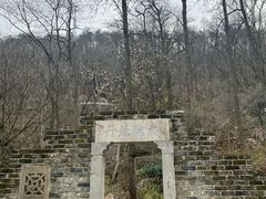 -潜山国家森林公园