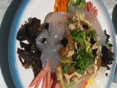 东北鸡丝拉皮-鑫裕园三个拿手菜(白堤路店)