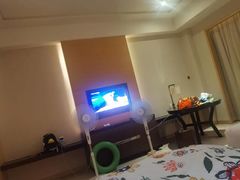 -河源万绿湖美思威尔顿酒店