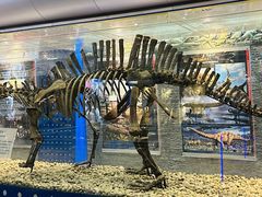 -国家自然博物馆