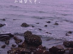 -江山半岛白浪滩景区