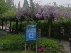 -白马涧龙池景区