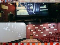 -悦江新远影城IMAX