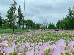 -海宁大尖山滑翔伞运动基地
