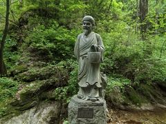 -王顺山国家森林公园