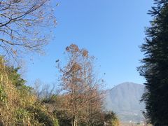 -塔川景区