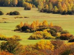 -麦当劳(北京昌金路得来速餐厅店)