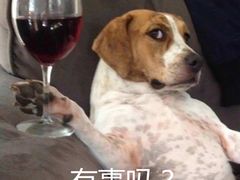 -环球梦主题KTV(曲阳生活购物中心店)