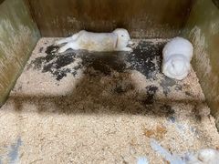 -上海大自然野生昆虫馆