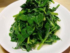 清炒豌豆尖-范家小馆·烤鸭新京菜(金融街店)