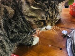 -延成苑韩式烤肉店(长春道店)