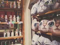 -猫咪博物馆(顶澳仔猫街店)