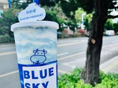 -白色日记·手作酸奶(麦凯乐店)