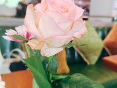 -ELI FALAFEL Lebanese&Mediterranean黎巴嫩美食(富城路店)