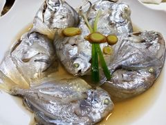 -天天渔港海鲜酒家(石浦玉泉路店)