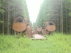 -黄海国家森林公园