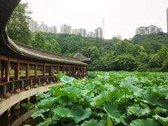 -龙头寺公园