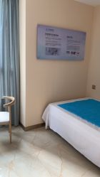 -碧莲盛·不剃发植发