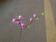 -惠友大虾(太原北街店)