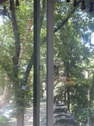 -南京医科大学友谊整形外科医院