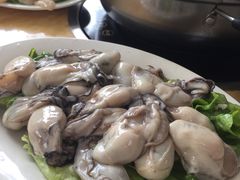 -金砂阿洲鱼册店