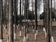 -苏州太湖湖滨国家湿地公园
