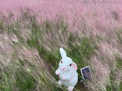 -BHG生活超市(安贞店)