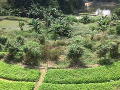 -天强农家菜馆