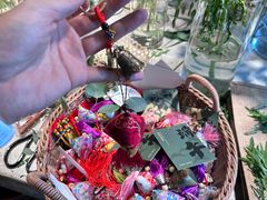 -自由生长植物工作室(深港花卉中心店)
