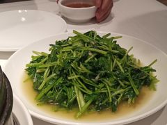 -金春禧(英雄山路旗舰店)