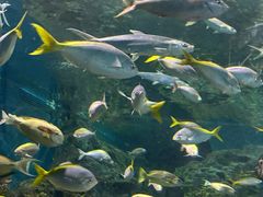 -上海海洋水族馆