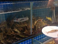 -鹿客臻鲜海鲜自助餐厅(永旺店)