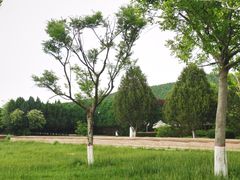 -秦始皇帝陵博物院-丽山园