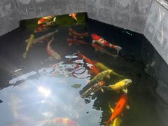 -西安市广仁寺