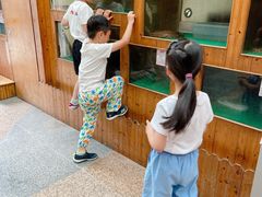 -上海大自然野生昆虫馆(东方明珠·爬宠昆虫探索中心)