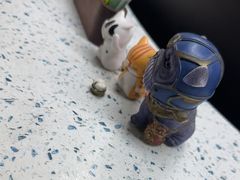-半岛宠物医院24小时(白果林店)