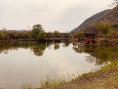 -金钉子远古世界景区