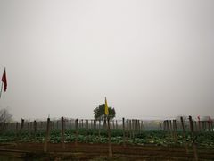 -武汉开心果园农业发展有限公司