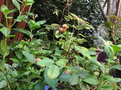 -厦门良筑精品酒店(厦门中山路店)