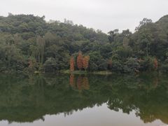 -广州市白云山风景名胜区