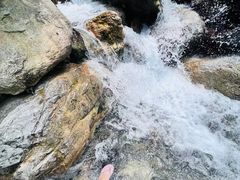 -西岭雪山大飞水景区