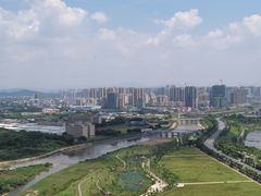 -飞来湖湿地公园