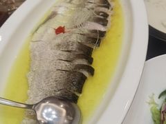 -鲁宴·鲁煨黄河生态大鲤鱼(月坛店)