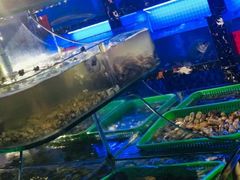 -友强·23年特色海鲜大排档(厦门店)