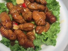 -拾柴熏酱-鲜虾水饺(群力店)