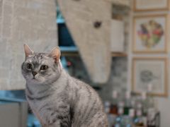 -隅cafe(傅厚岗店)