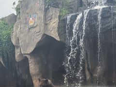 -海南热带野生动植物园