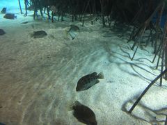 -福州罗源湾海洋世界旅游区