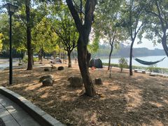 -南国桃园旅游度假区